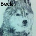 BABeck